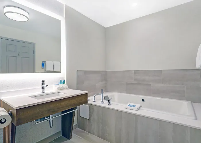 One-Bedroom King Suite